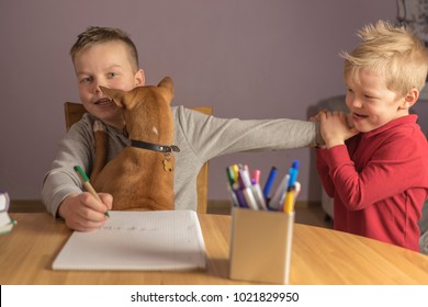 Two Brothers Play With A Dog And Do Homework