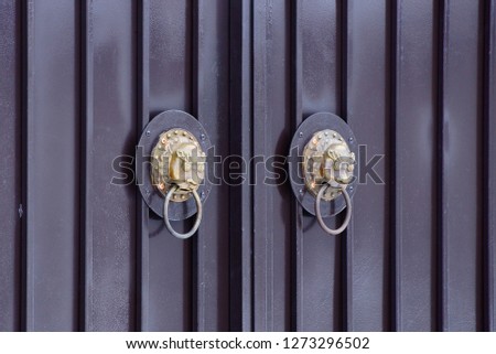 two brown bronze door handles with a lion head on a metal door