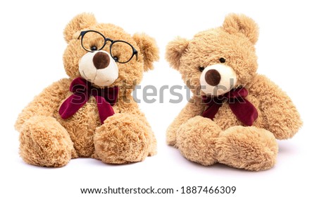 Two brown teddy bear with eye glasses isolated on white background.