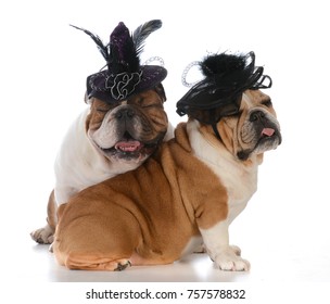 Fancy Hats Images Stock Photos Vectors Shutterstock