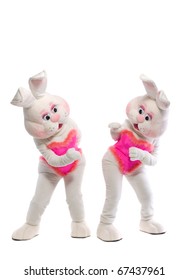 two bunny girl mascot costume play