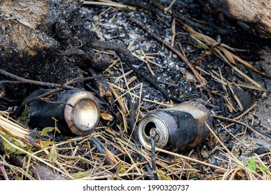 Two burnt beer cans lie at the edge of a fire pit in daylight. The fire is out the day after the party. Shallow depth of field, focus on cans.