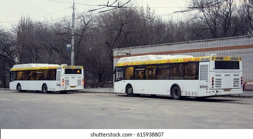 two buses at the bus stop