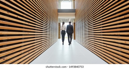 Two Business People Are Walking In A Modern Office Corridor In One Direction