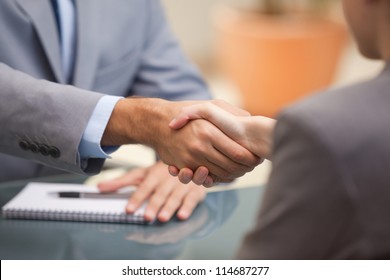 Two Businesspeople shaking hands indoors