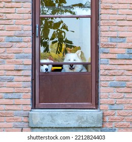 Two Calm White Dogs Getting Some Fresh Air Through A Partially Opened Screen Door