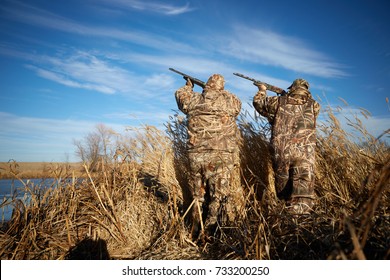 Two camouflaged waterfowl hunters shooting into sky during duck hunting on sunny day
