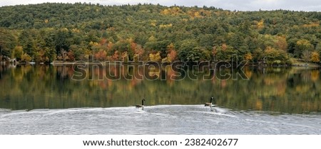 Two Canadian Geese swim across glass-like lake water as colorful trees adorn the water's edge.  Mountains ae in the background.
