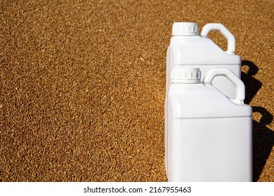 Two canisters stand on grain. The duration of the protective effect of cereals against diseases. Root rot, fungal diseases, powdery mildew.