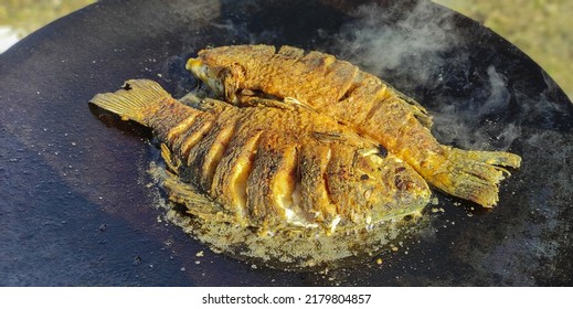 two carp are cooking on a bonfire - Shutterstock ID 2179804857