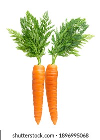 Two carrot isolated on white background