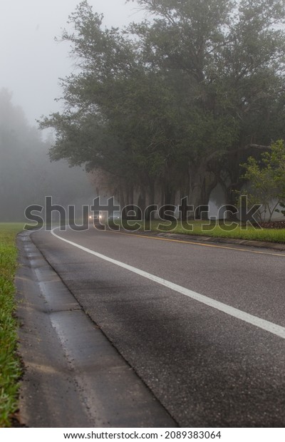 Two cars with\
headlights on approaching on a one lane road surrounded trees and\
green grass in a foggy morning.\
