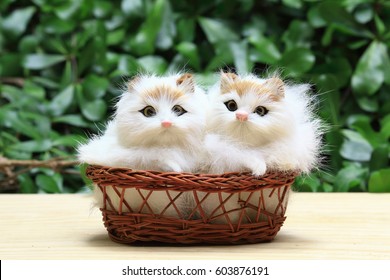 The two cats or kittens in the basket, as background or print card.
