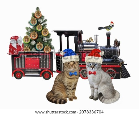 Two cats in Santa Claus clothing are near a holiday train with the Christmas tree. White background. Isolated.