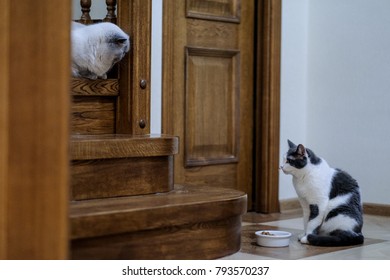 Domestic Stair Stock Photos Images Photography Shutterstock