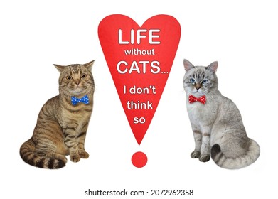 Two Cats Sit Near A Heart Shaped Exclamation Point With Text Life Without Cats... I Don't Think So. White Background. Isolated.