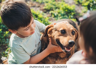 Two Caucasian Kids Playing With Their Loyal Dog, Scratching Dog's Head, Caressing, Cuddling. Sunny Day. Having Fun Outdoors. Beautiful Young Girl. Smiling Happy