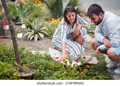 Two Caucasian  Landscape Architects Looking At Design For Arranging Botanic Park 