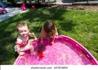 Two Caucasian Toddler Brown Haired Girls Plays In A Pink Backyard Kiddie Pool During  A Hot Summer Day