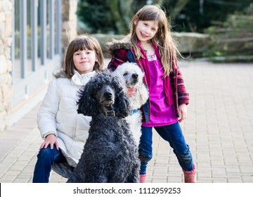 Two Caucasian Upper Class Britsh Girls (children) Playing And Posing With Large Pet Standard Poodles In Natural Coat In A Rural Country Garden