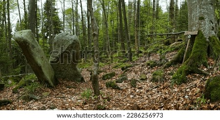 Two Celtic menhirs in a leafy forest on Javorník hill