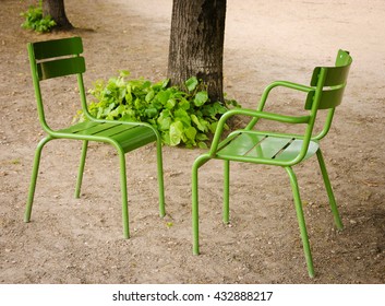  Two chairs facing each other in Tuileries garden. Paris (France)