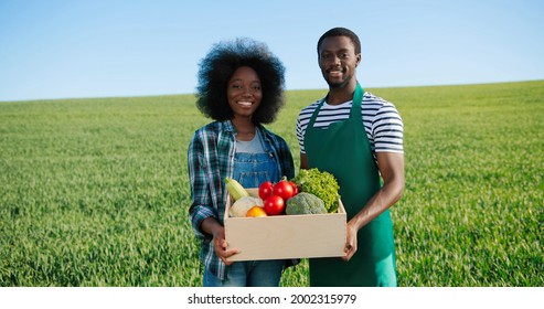 Two cheerful African american workers in the field communicating and laughing together while cooperating. Growing food plants, industrial agriculture and teamwork concept - Powered by Shutterstock