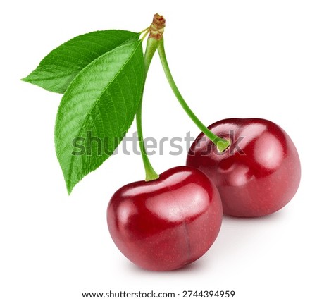 Two Cherry with leaves leaf isolated on white. Cherry Clipping Path. Cherry macro shooting