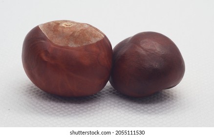 Two Chestnuts On A Light Background