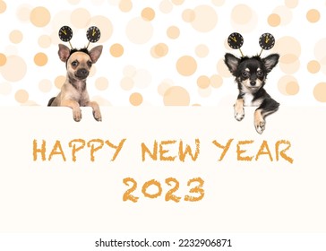 Two chihuahua dogs with happy new year 2023 wishes both wearing new year's decoration - Shutterstock ID 2232906871