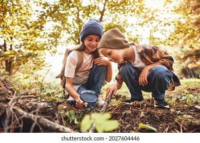 Two children boy and girl in warm hats with backpacks looking examining tree bark through magnifying glass while exploring forest nature and environment on sunny day during outdoor ecology school less