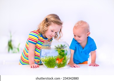 Two Children, Brother And Sister, Cute Little Girl And Adorable Baby Boy Feeding A Goldfish Swimming In A Round Fish Bowl Aquarium Having Fun With Their Pet At Home