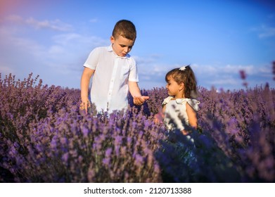 Two Children brother and sister are playing in the lavender field.  Brother show a ladybug to his sister. - Shutterstock ID 2120713388