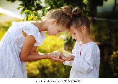 Two children are holding small yellow chickens in their hands. The chicks hatched from the egg. Pedigree chickens. Poultry farm