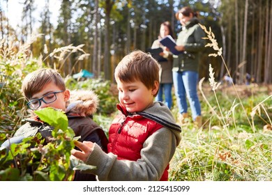 Two Children Identifying Trees In Tree Science Lessons As Nature Education In The Forest