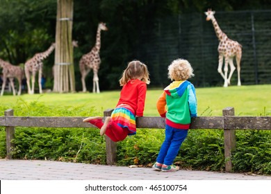 Two children, little toddler boy and preschool girl, brother and sister, watching giraffe animals at the zoo on sunny summer day. Wildlife experience for kids at animal safari park. 