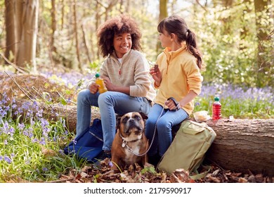 Two Children Walking Pet Dog Through Bluebell Woods In Springtime Taking A Break Sitting On Log