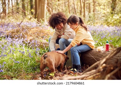 Two Children Walking Pet Dog Through Bluebell Woods In Springtime Taking A Break Sitting On Log