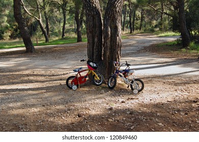 Two Children's Bikes With Training Wheels Parked Below A Tree In A Park.