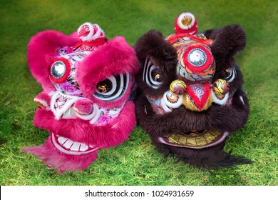 Two Chinese Lion Dance Headress Costumes On Grass Close Up