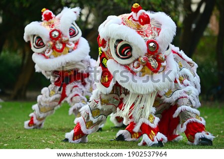 Two Chinese Lion dragon dancing during Chines New Year Holiday celebration.No people. Copy space 