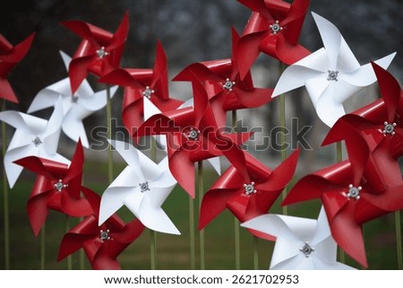 Two circular formations of red and white pinwheels arranged in the shape of an infinity symbol on a blurred natural background. A playful and symbolic composition, suitable for greeting cards, invitat