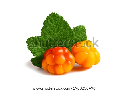 Two cloudberries with a leaf isolated on a white background with clipping path with and without shadow