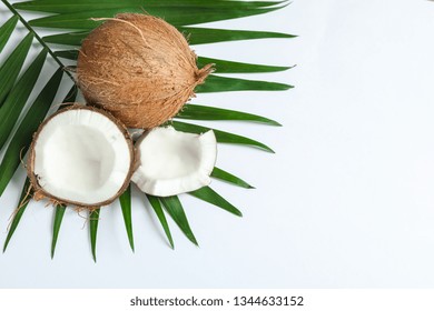 Two coconut one of which split with palm branch on white background