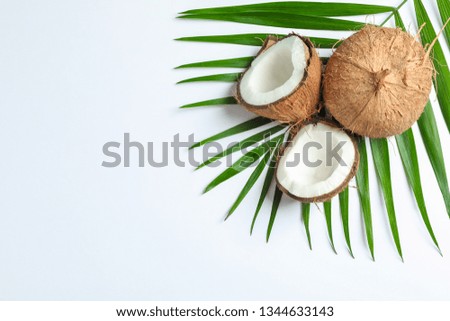 Two coconut one of which split with palm branch on white background