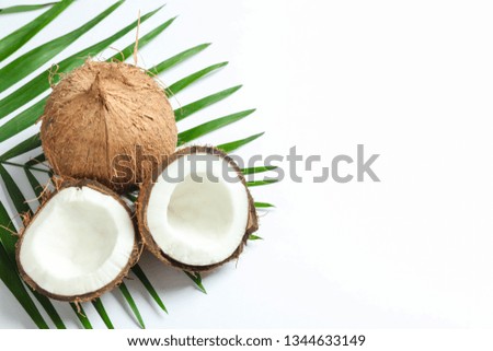 Two coconut one of which split with palm branch on white background