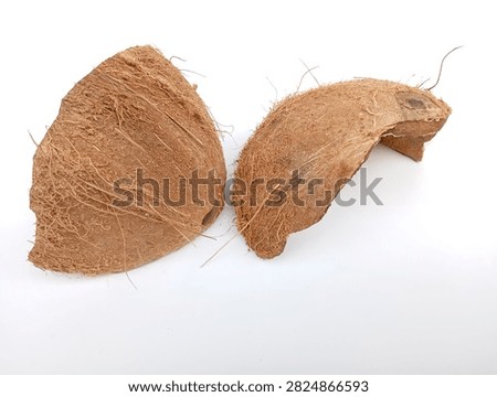 Two Coconut Shell Pieces Showing Rough Fibrous Outer Surface