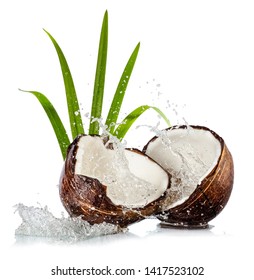 Two Coconut Shells Water Splash