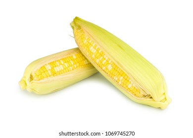 Two Color Sweet Corn Isolated On White Background.