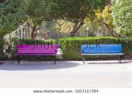 two colored benches in the city park seat for loving couples
